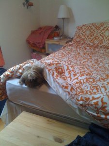 24851_380758872876_7885464_n