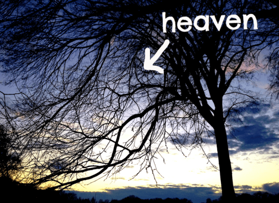 0_7cm3AkBs96KxxMKg6a2d65